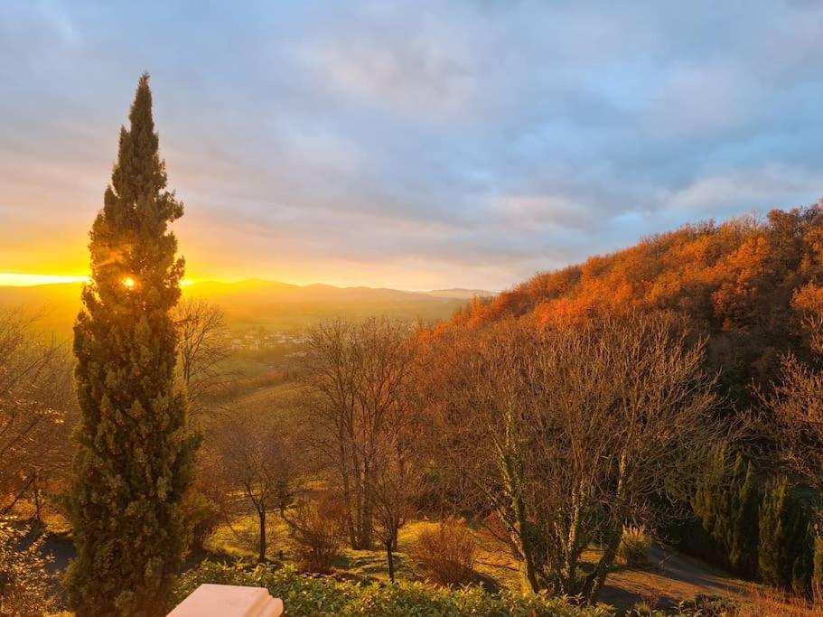 Pierres Dorees : Calme Et Detente A 2 Pas De Lyon *
